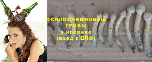 apvp Абдулино