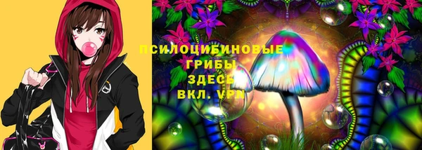 герыч Алексин